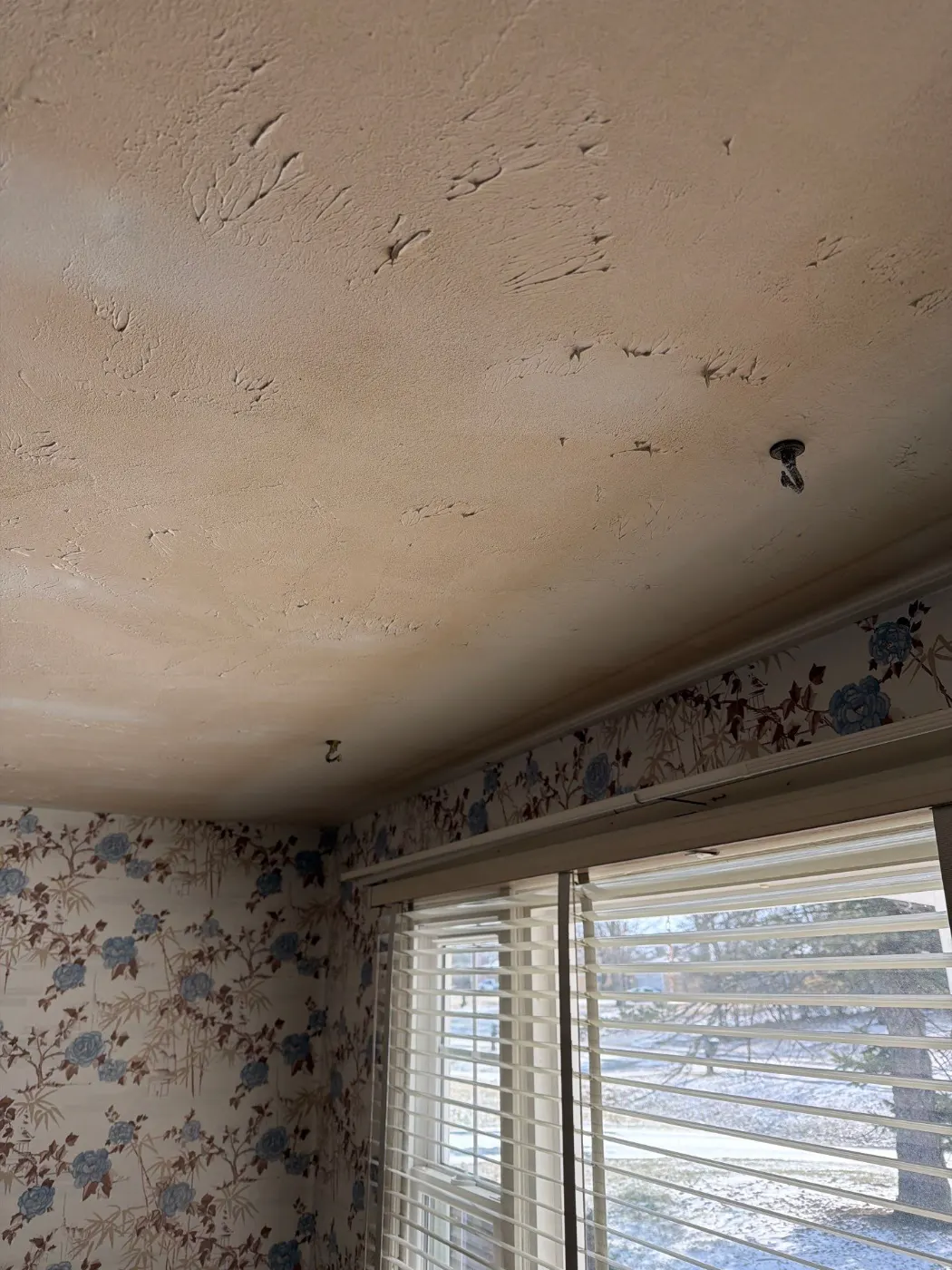 Thermal imaging during water damage assessment in Hamilton Proper residence